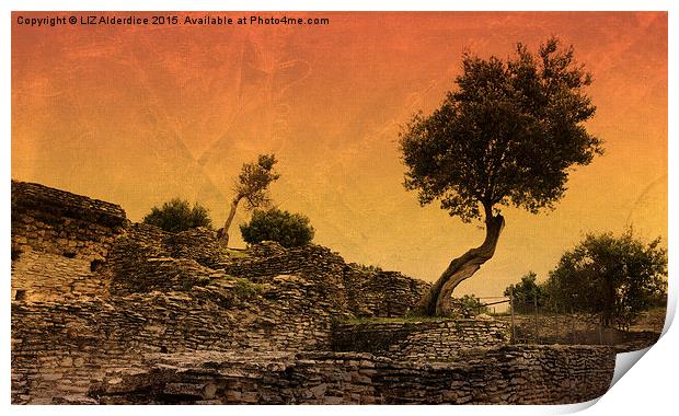  The Olive Tree Print by LIZ Alderdice