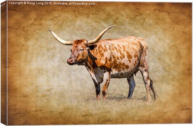Texas Longhorn Canvas Print by Doug Long