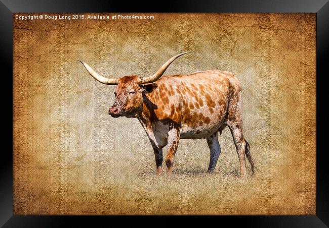 Texas Longhorn Framed Print by Doug Long