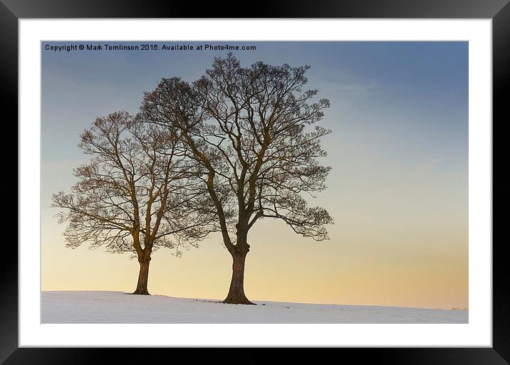  Snowy trees on Ringinglow Road, Sheffield Framed Mounted Print by Mark Tomlinson