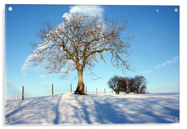 Snowscape Acrylic by David (Dai) Meacham