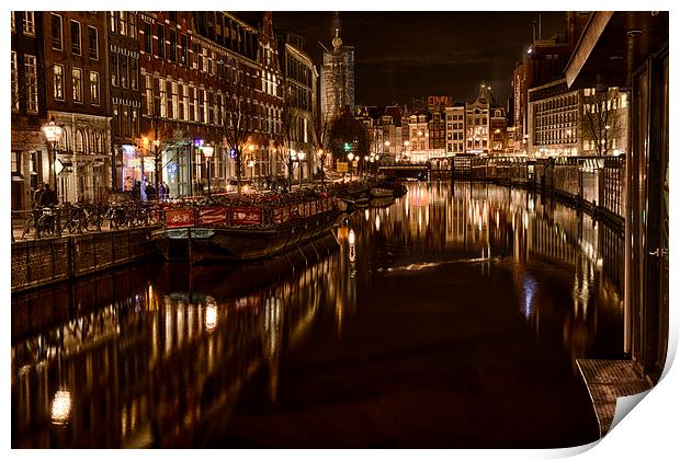 Golden Singel  Print by Jonah Anderson Photography