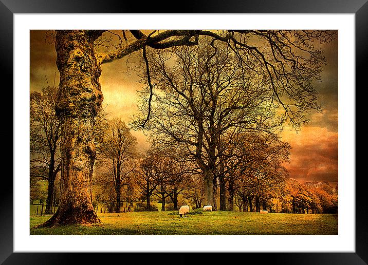  The Countryside Framed Mounted Print by Irene Burdell