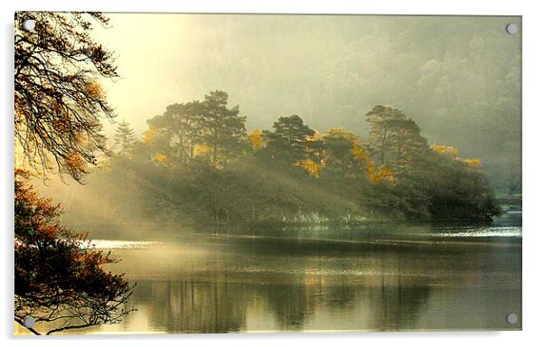  Sunrise through the mist , Acrylic by Irene Burdell