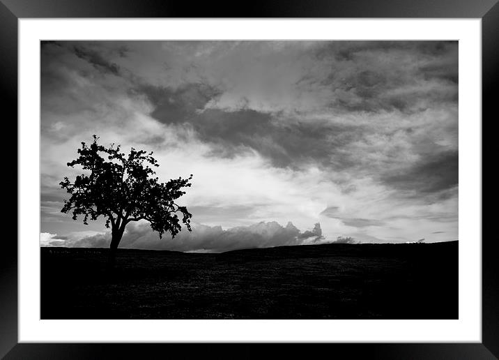  Lonley Tree !!! Framed Mounted Print by Stephen Hayes