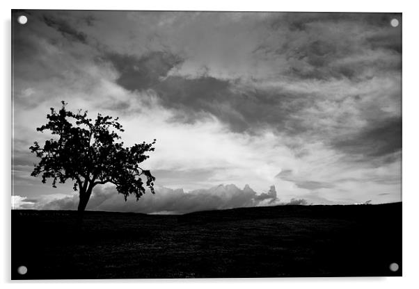  Lonley Tree !!! Acrylic by Stephen Hayes