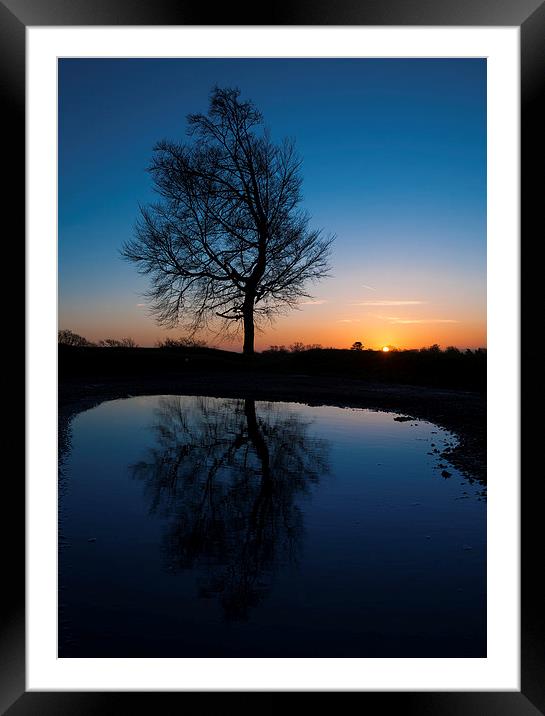  Sunrise on Reigate Hill Framed Mounted Print by Colin Evans