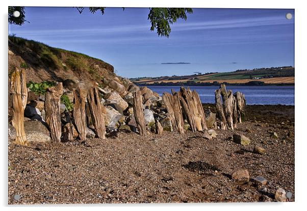  Natural Sculptures by the Cromarty Firth Acrylic by Jacqi Elmslie