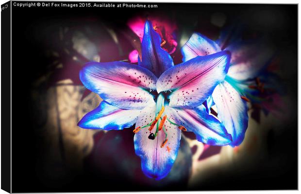  lilly flower Canvas Print by Derrick Fox Lomax