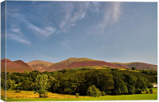 Heather,Skiddaw Little Man. Cumbria Floods Appeal Canvas Print by Jacqi Elmslie