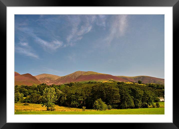 Heather,Skiddaw Little Man. Cumbria Floods Appeal Framed Mounted Print by Jacqi Elmslie