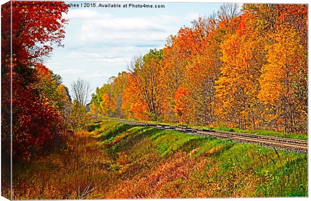  Fall Rails Canvas Print by shawn mcphee I