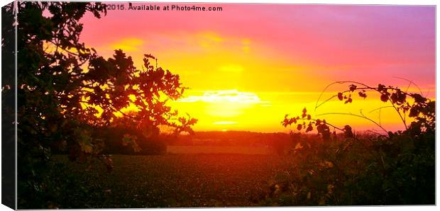  Warwickshire Autumn Sunrise Canvas Print by philip milner