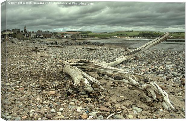  Stonehaven Driftwood Canvas Print by Rob Hawkins