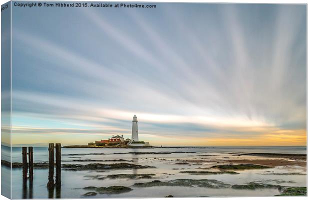  Rays from St Mary's Lighthouse Canvas Print by Tom Hibberd