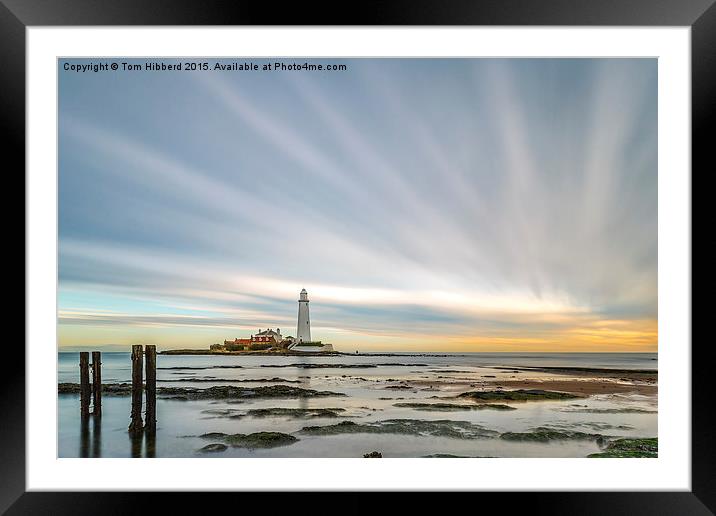  Rays from St Mary's Lighthouse Framed Mounted Print by Tom Hibberd