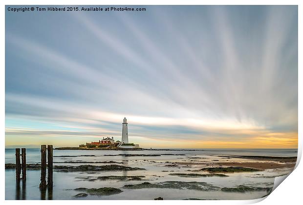  Rays from St Mary's Lighthouse Print by Tom Hibberd
