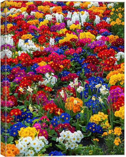 Flowers Canvas Print by Victor Burnside
