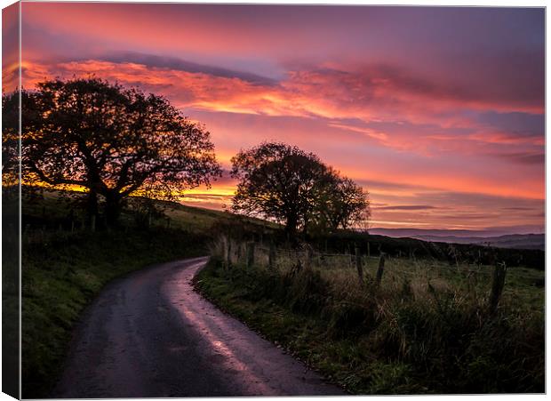Majestic Sunrise Over Welsh Countryside Canvas Print by P D
