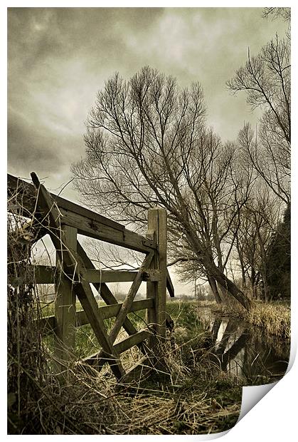 5 bar gate and ditch Print by Stephen Mole