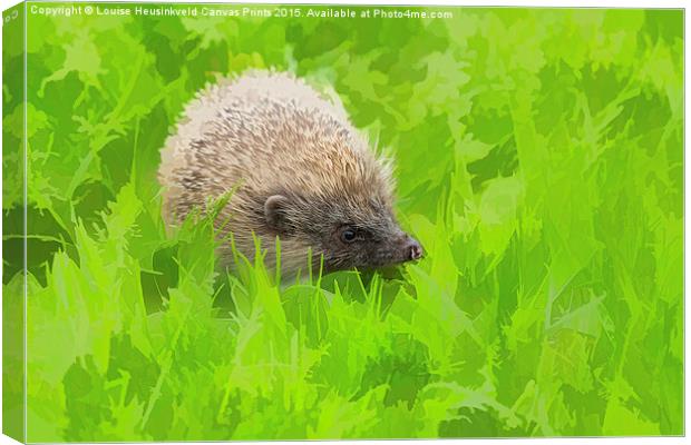 European hedgehog, Erinaceus europaeus Canvas Print by Louise Heusinkveld
