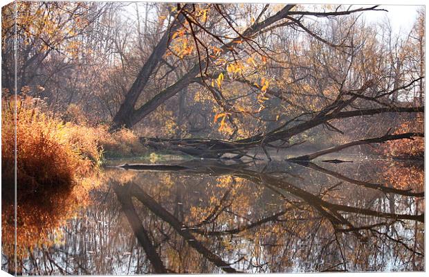 Natures Mirror Canvas Print by shawn mcphee I