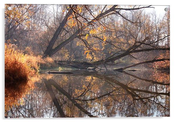  Natures Mirror Acrylic by shawn mcphee I