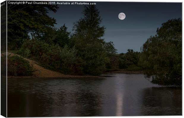  MoonLit Cadnam Pool New Forest Canvas Print by Paul Chambers