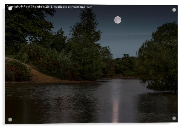  MoonLit Cadnam Pool New Forest Acrylic by Paul Chambers