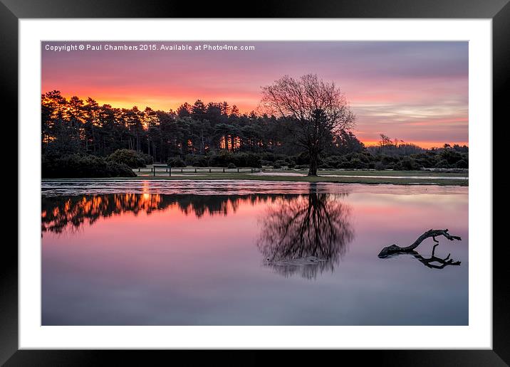 New Forest Sunrise Framed Mounted Print by Paul Chambers