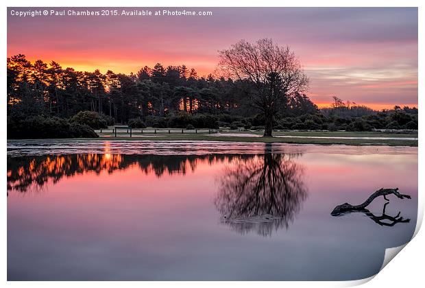 New Forest Sunrise Print by Paul Chambers