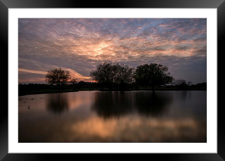  New Forest Sunset Framed Mounted Print by Paul Chambers
