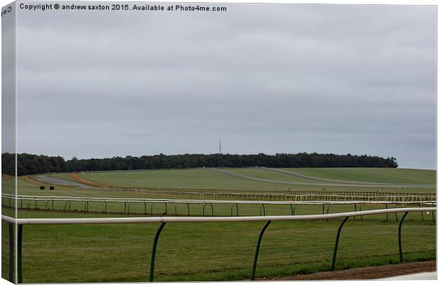  THE GALLOPS Canvas Print by andrew saxton