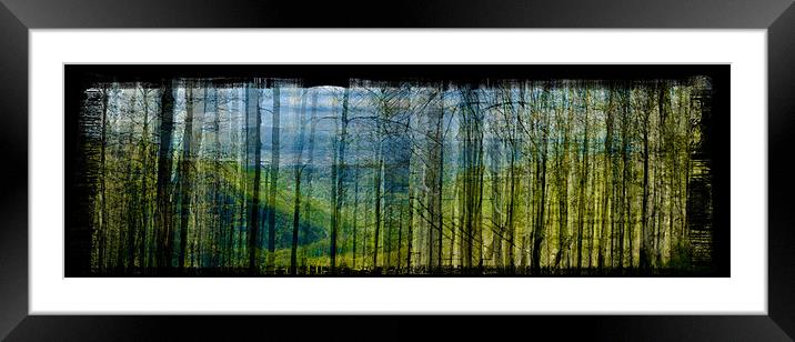Forest Canada Framed Mounted Print by Jean-François Dupuis