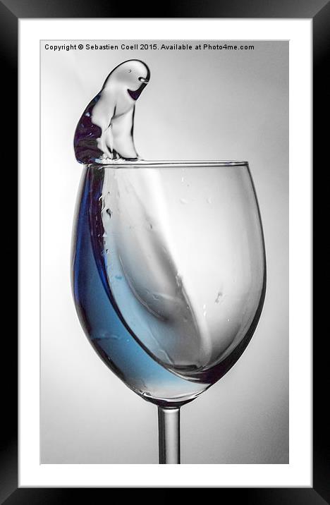 Polar bear sat on a glass Framed Mounted Print by Sebastien Coell