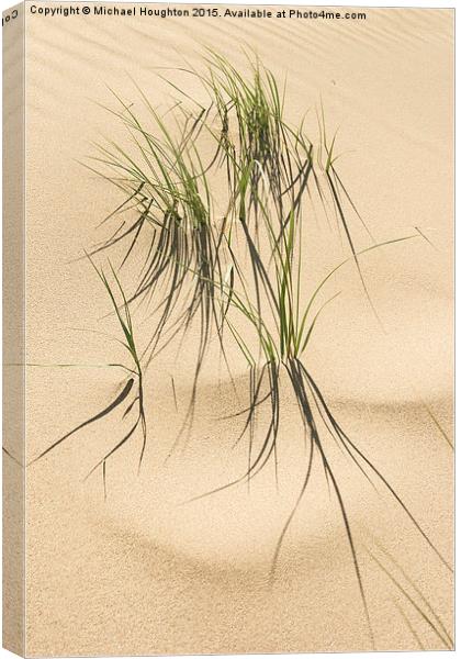 Grasses in the dunes  Canvas Print by Michael Houghton