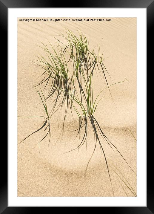 Grasses in the dunes  Framed Mounted Print by Michael Houghton