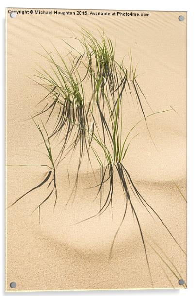 Grasses in the dunes  Acrylic by Michael Houghton
