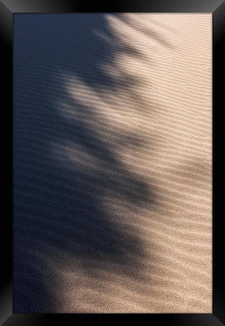 Shadows on the sand Framed Print by Andrew Kearton