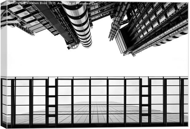 Looking Up Canvas Print by Stephen Birch