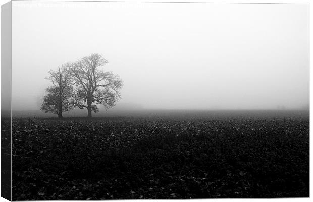 The Fog Canvas Print by Lauren Bywater