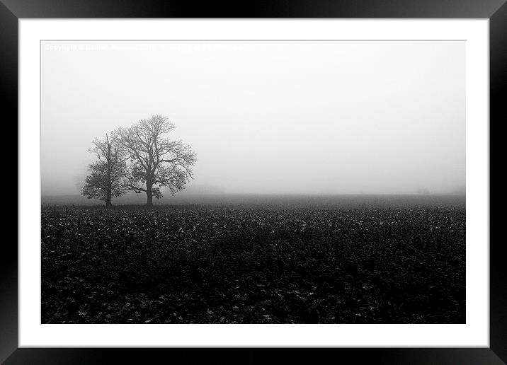 The Fog Framed Mounted Print by Lauren Bywater