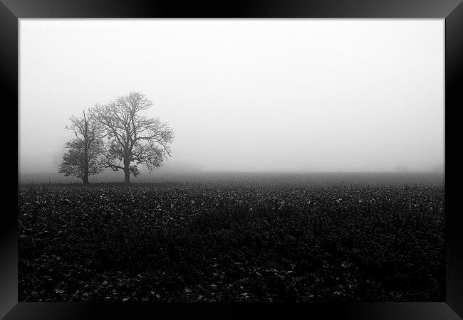 The Fog Framed Print by Lauren Bywater