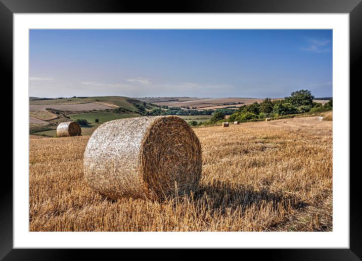 South Downs Harvest Framed Mounted Print by Malcolm McHugh
