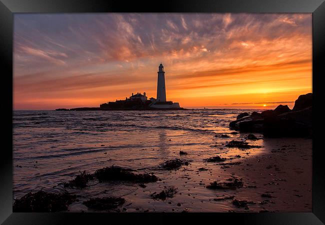  St Mary`s Lighthouse Framed Print by Northeast Images