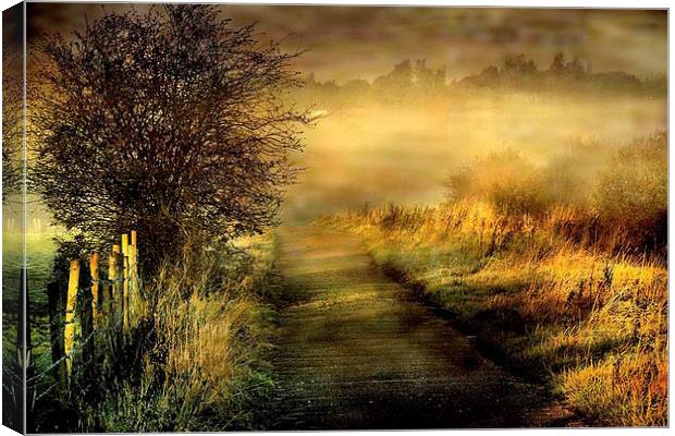  Morning Mist Canvas Print by Irene Burdell