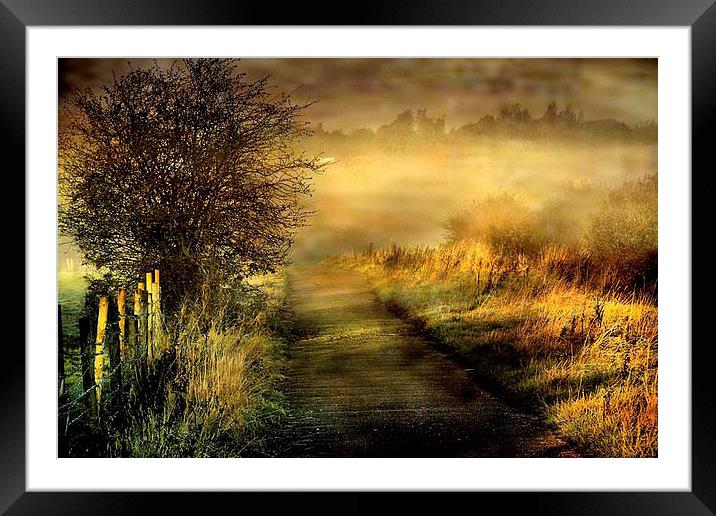  Morning Mist Framed Mounted Print by Irene Burdell