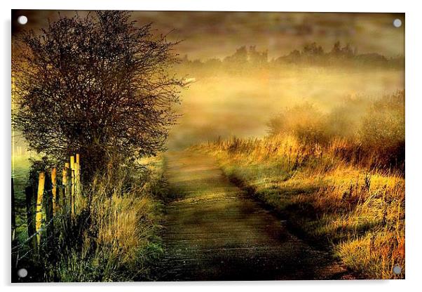  Morning Mist Acrylic by Irene Burdell