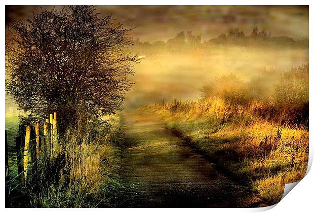  Morning Mist Print by Irene Burdell