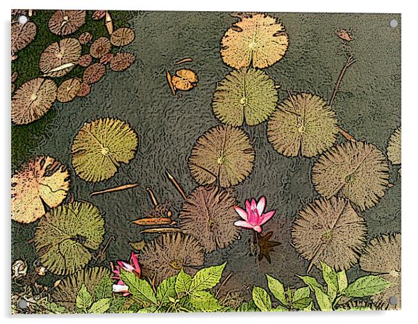 Lotus Pond Acrylic by Mark Sellers